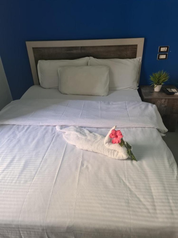 The Australian Hostel image 14